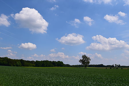 arrière-plan, Sky, nuages, bleu, paysage, nature, champs