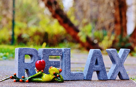relax, frog, rest, concerns, recovery, favorite place, wellness