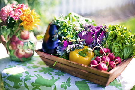 produtos hortícolas, jardim, colheita, orgânicos, verde, jardinagem, alface