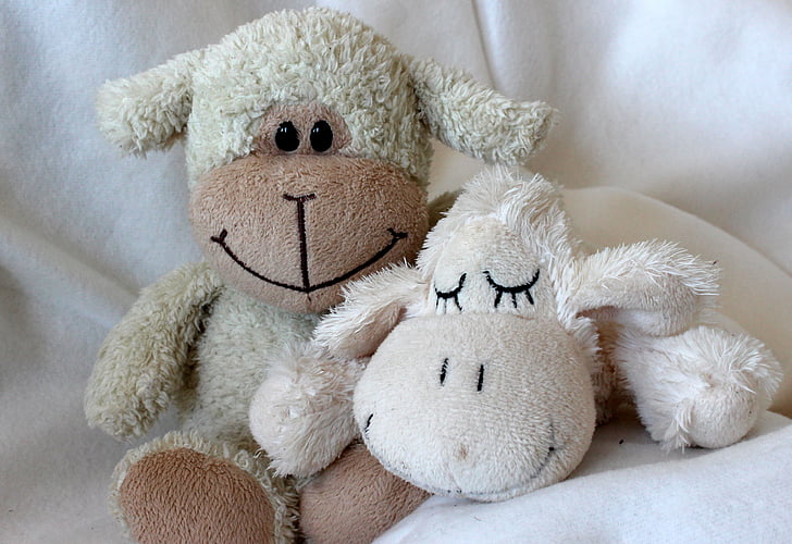 teddy bears, soft, stuffed animal, cute, purry, sheep, sleep