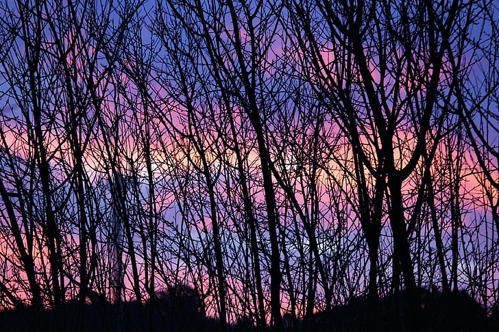 solnedgång, vinter, Ramos, Rosa sky, skönhet, naturen, foreas