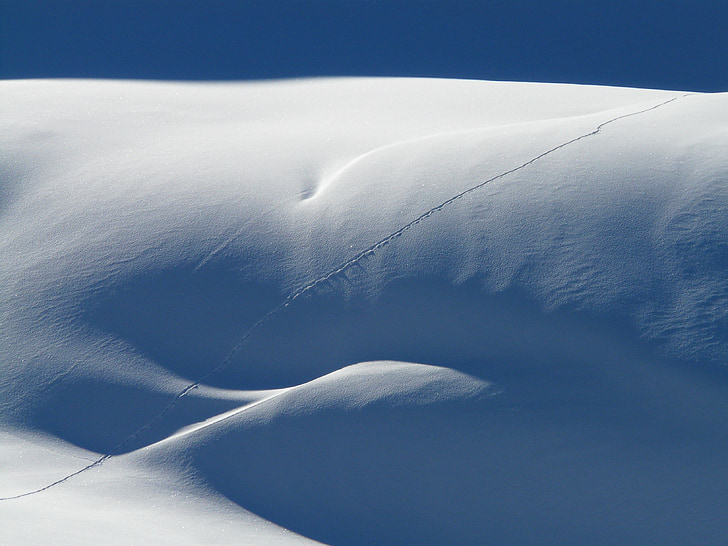 lumi, häda, lumi ridge, Snowdrift, sügav lumi, talvel, jääkülma