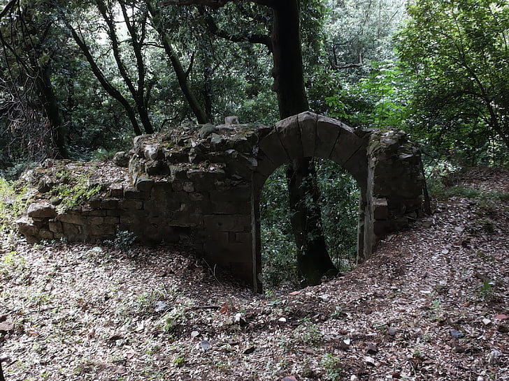 italy, ruin, port, ancient times, forest, mystical