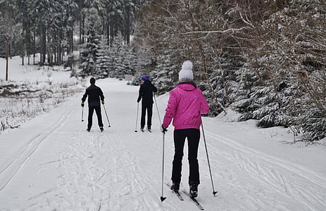 Inverno, montanhas, neve, esqui cross-country, desporto, faixa, desportos de inverno