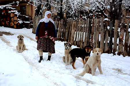 Zigana, Gümüşhanen, Turkki, naisten, eläinten, koira, Village