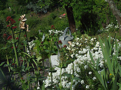 ποτιστήρι, Κήπος, άνοιξη, λουλούδια, κρεβάτι λουλουδιών