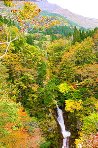 Japāna, akiyama draudze, hebifuchi ūdenskritums, rudens lapas, platlapju mežu, ieleja, ūdenskritums
