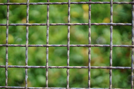 grid, fence, iron, iron construction, garden, old, grating
