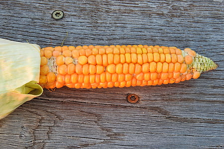 Кукурудза, кукурудзяні качани, овочі, продукти харчування, Фріш, овочевий кукурудзи, кукурудзяного ядрами