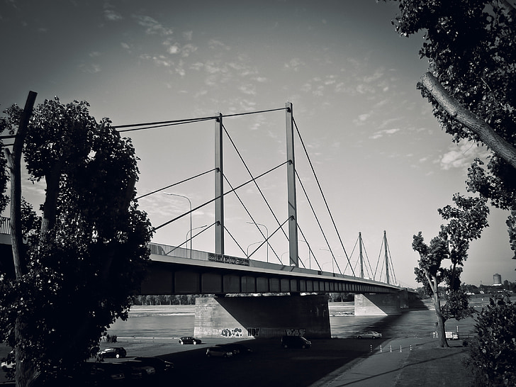 híd, építészet, közúti híd, Rajna, Düsseldorf, fekete-fehér, Theodor-heuss-híd
