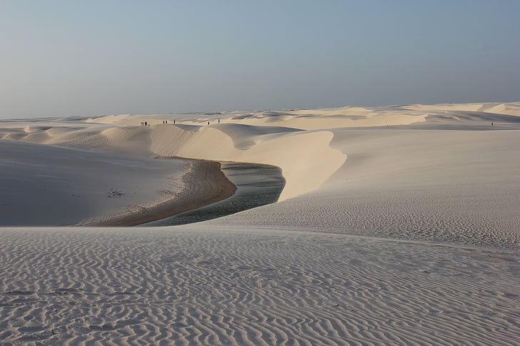 dune, sable, Maranhao, bois du Brésil, voyage, sauvage, Lençois