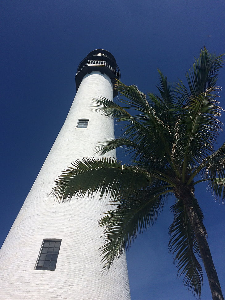 Lighthouse, Palm, Sky, blå
