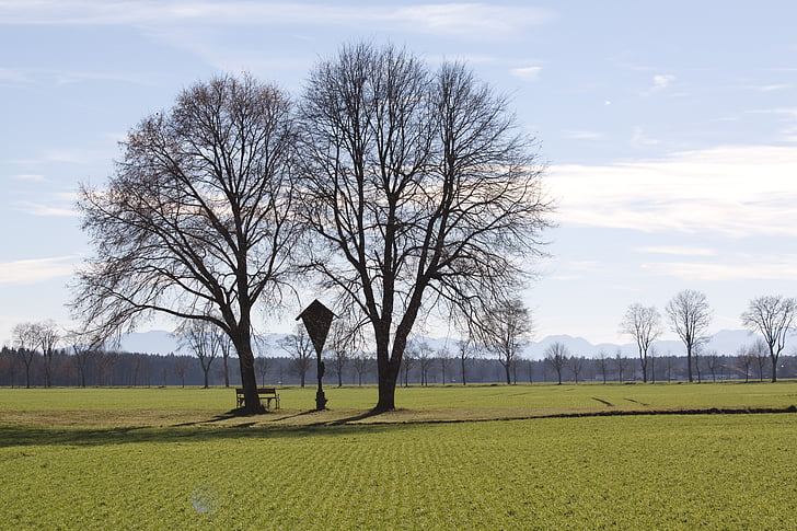 Wayside Kreuz, Frühling, Bäume, Haartrockner, Landschaft, Panorama, Fernblick