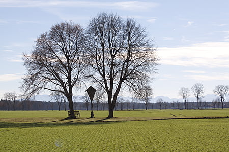caminho Cruz, Primavera, árvores, secador de cabelo, paisagem, Panorama, Vista distante