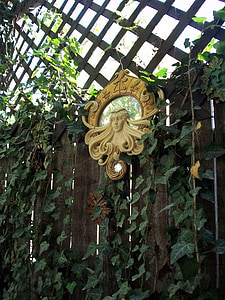 haven, Ivy, spejl, gudinde, dekoration, vin, natur