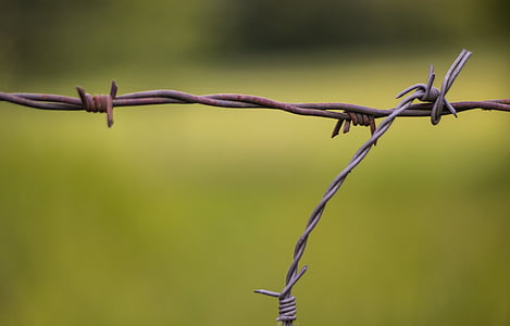 barbed wire, wire, fence, metal, risk, demarcation, fenced
