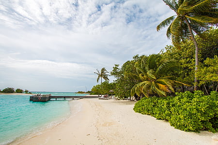 четыре сезона, Куда-Хураа, Мальдивские острова, Дерево пальмы, дерево, Облако - небо, небо