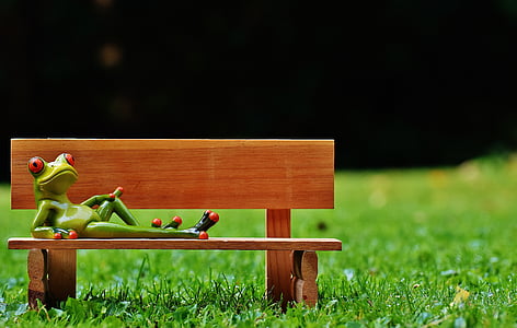 frogs, bank, bench, relaxed, figure, funny, rest