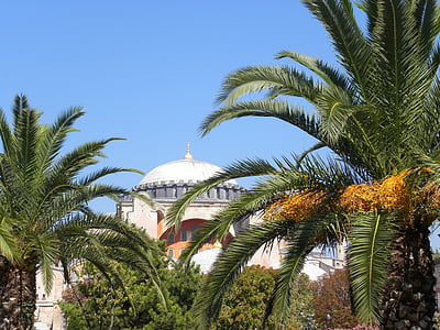 moskén, Istanbul, Turkiet, religion, resor, islamiska, Dome