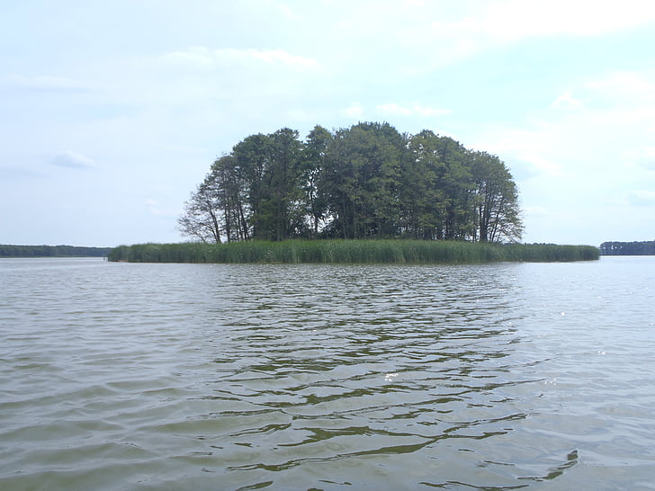 sziget, tó, Obra, Lengyelország, természet, víz, fa