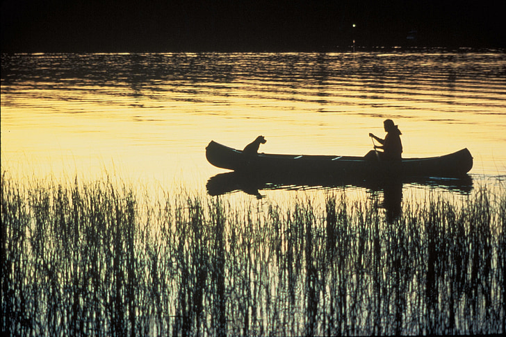 canoe, river, silhouettes, dog, sunset, water, nature