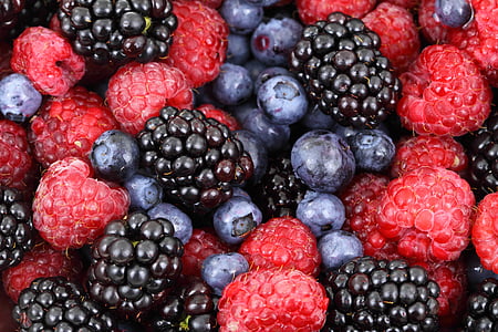baggrund, bær, bær, brombær, BlackBerry, blåbær, blåbær