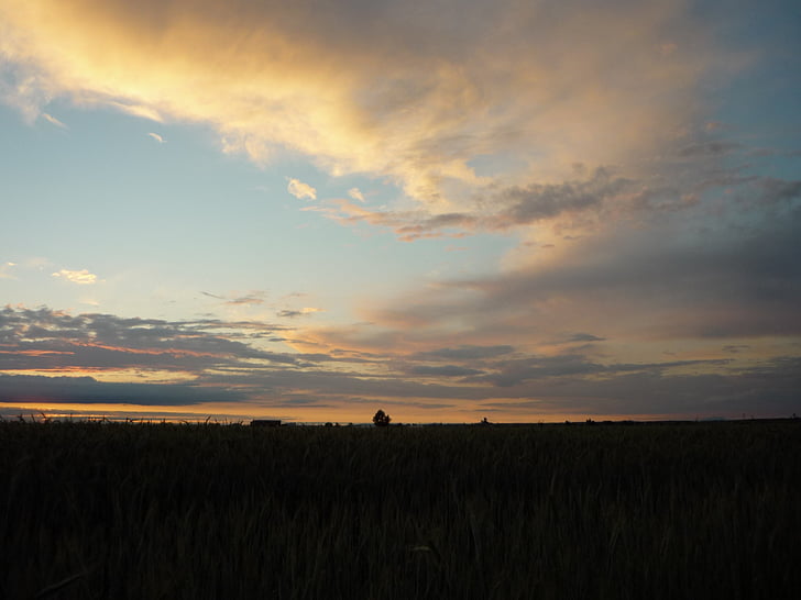 Badajoz, fältet, Sky, moln, naturen, solnedgång, Horisont