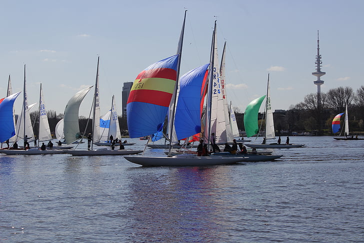 Sailor, Hamburg, Alster, Regatta, seil, seilbåt, seiling