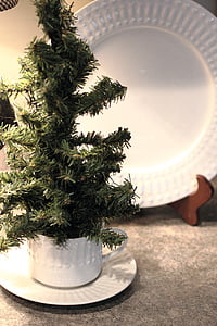 božič, bor, drevo, pozimi, dekoracija, počitnice, sezona