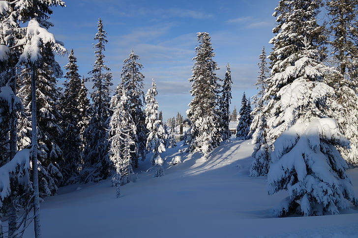 neu, l'hivern, muntanya, Noruega, Lillehammer, Hafjell, gener