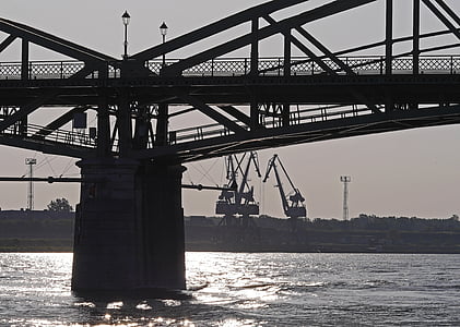 Bridge, tranor, hamn, Donau, morgonljuset, bländande, motljus
