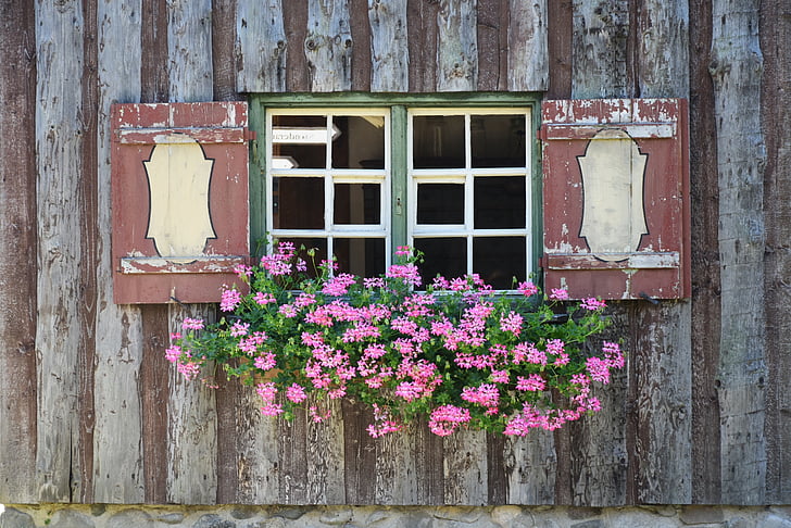 fereastra, pervazul ferestrei, flori, obloane, atmosfera, fermă, Bavaria