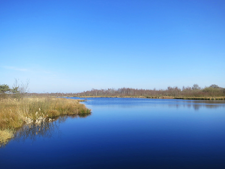 de grote peel, naturreservat, Noord-limburg, Nederländerna