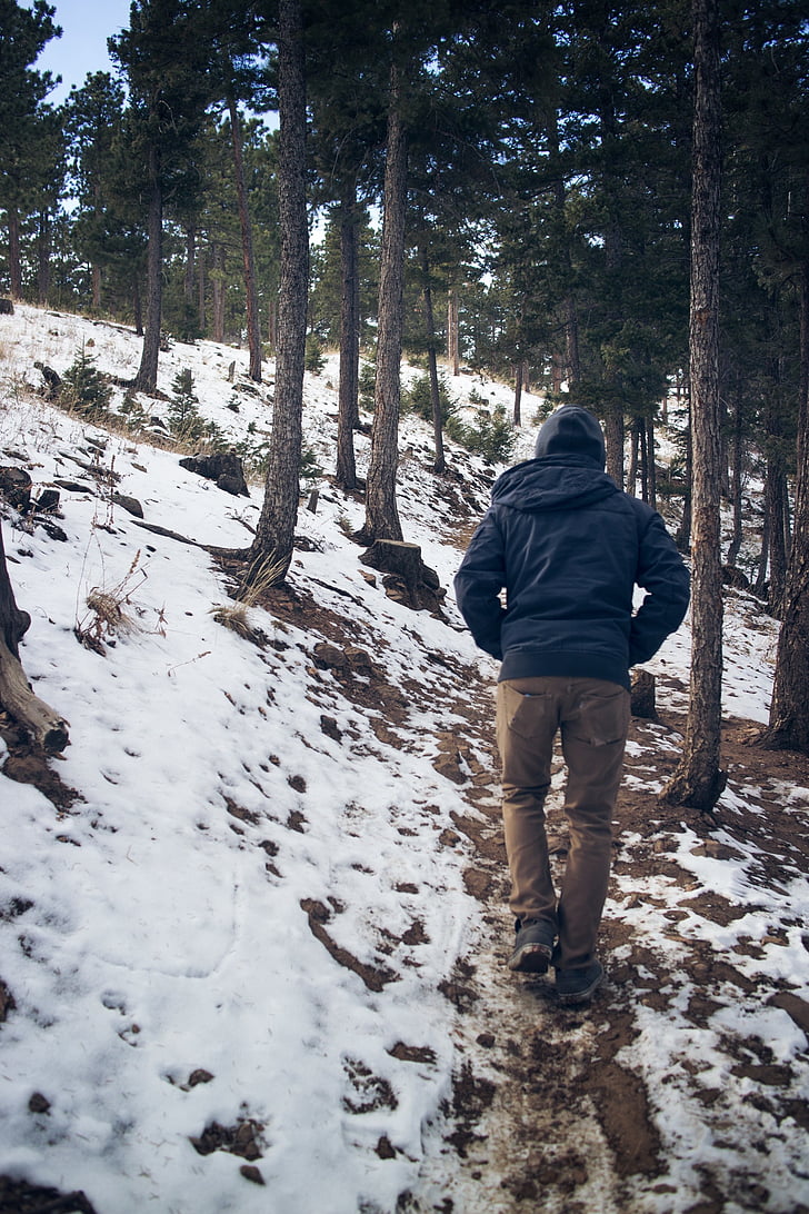 outdoor, photo, human, forest, winter, landscape, mountain