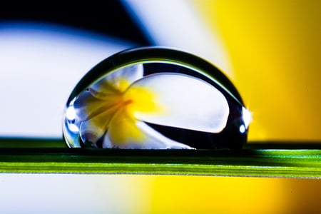 drop of water, drip, blade of grass, blossom, bloom, macro, reflection