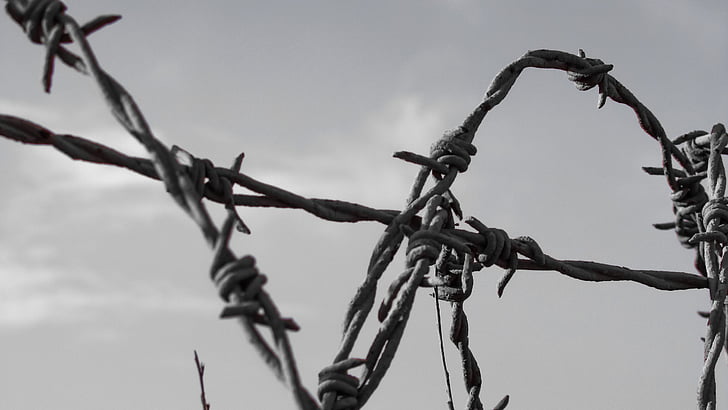 wire, fence, barbed, protection, barbwire, separation, boundary