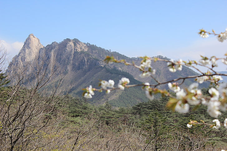 Sokcho, Mt seoraksan, đỉnh núi