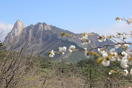 Sokcho, Mt seoraksan, pics