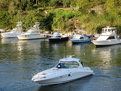 cestovní ruch, ostrov v Karibiku, Roman, jachty, Yacht club, lodě