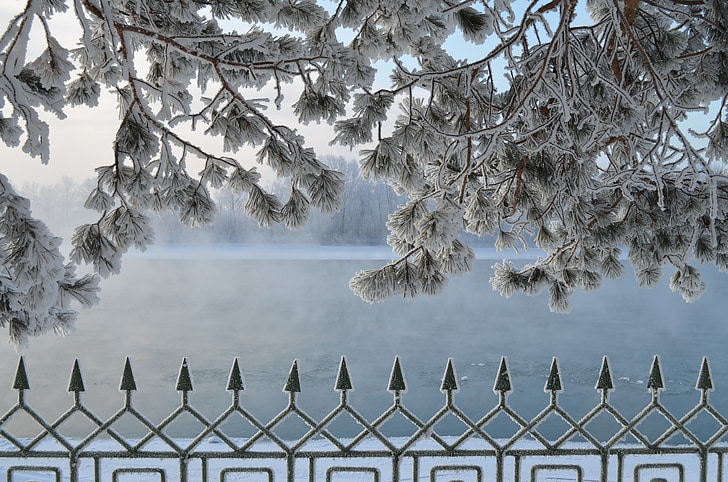 fiume, inverno, Siberia, paesaggio, alberi, freddo, brina
