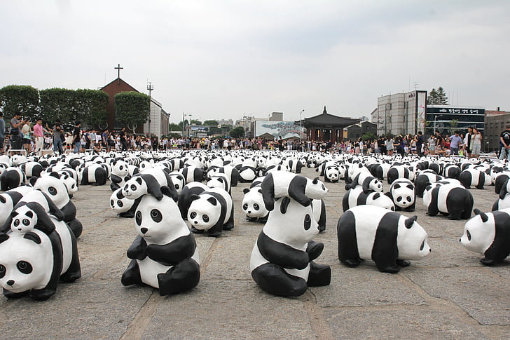 Panda, utställning, Visa, utställning, djur, hotade, displayen