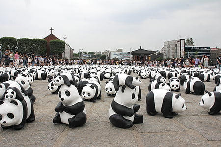 Panda, exposition, Voir l’établissement, pièce, animal, en voie de disparition, afficher