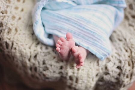 bebê, pés de bebê, cobertor, criança, Infante, pequeno, macro