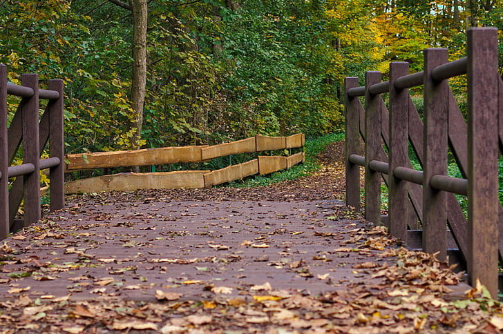puente, otoño, hojas, bosque, cerca de, hoja, naturaleza