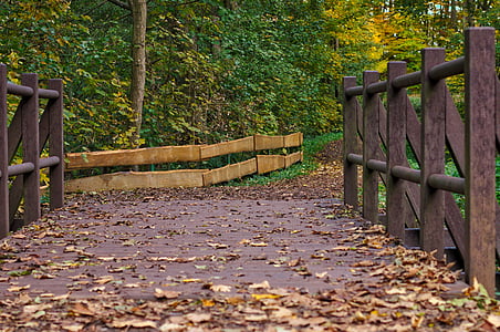 bridge, autumn, leaves, forest, fence, leaf, nature