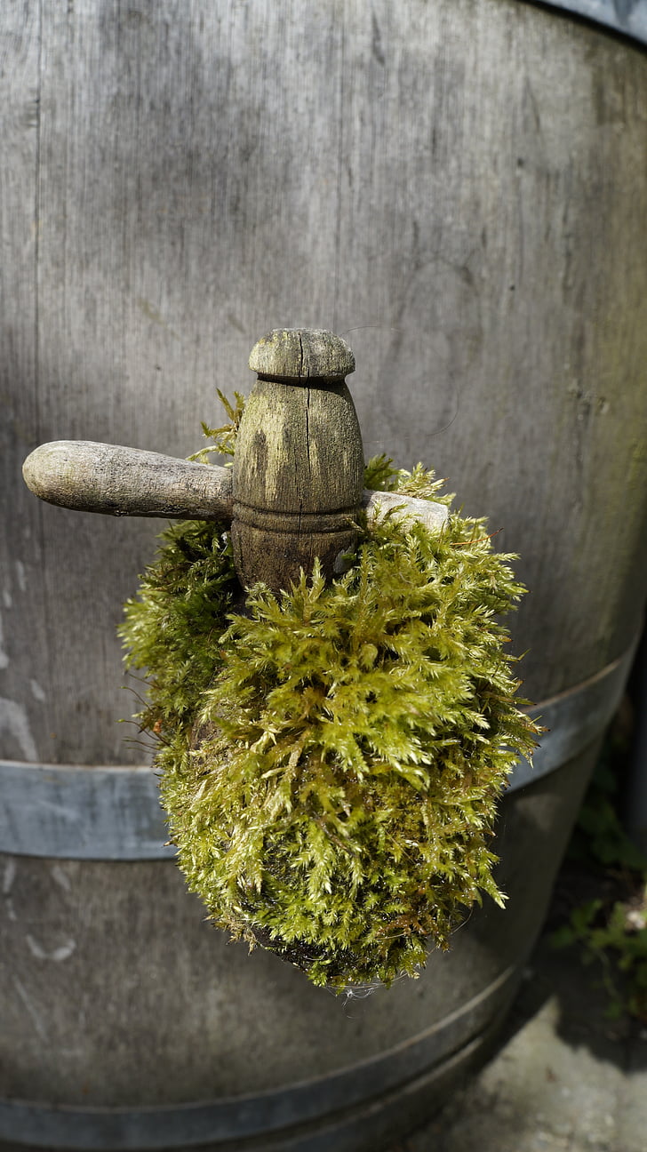 Moss, watervat, puidust kraana, puit - materjal, barrel