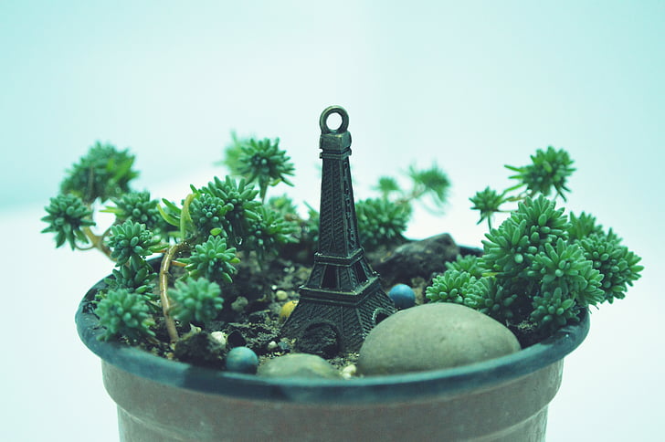 still life, potted plants, light