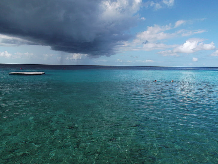 Карибский бассейн, тропики, мне?, Природа, забронированы, песчаный пляж, тропический