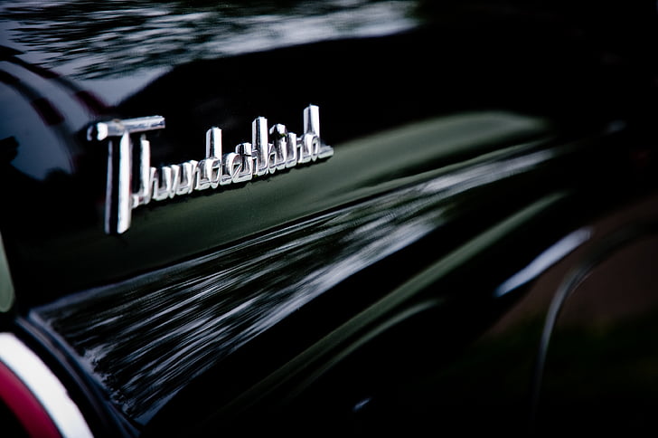 Thunderbird, nom, Gual, cotxe, emblema, logotip, auto