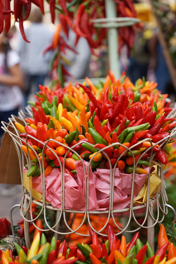 pepperoni, Festival, colorido, cesta, verduras, cosecha, planta
